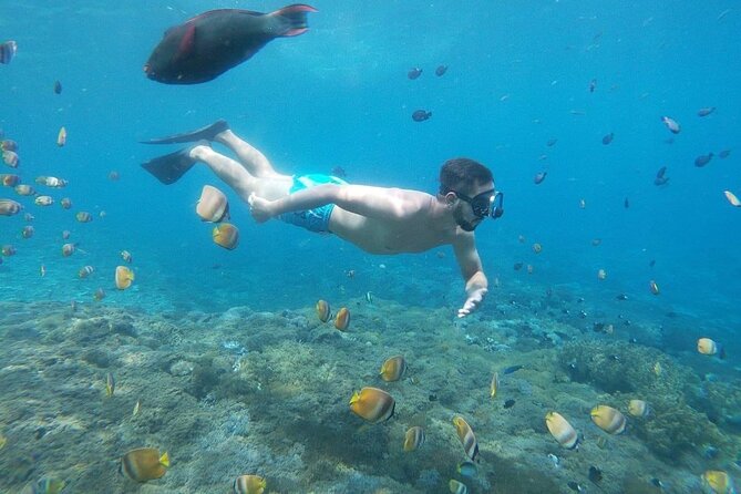 Bali Private Snorkeling (Manta, Gamat, Crystal) and Nusa Penida Tour - Customer Feedback