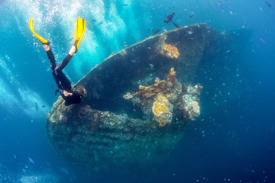 Bali: Tulamben Bay and the USAT Liberty Wreck Dive - Instructor Information