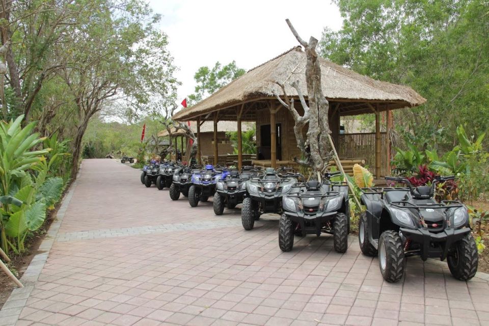 Bali: Uluwatu Mud ATV Quad Bike Adventure - Customer Reviews