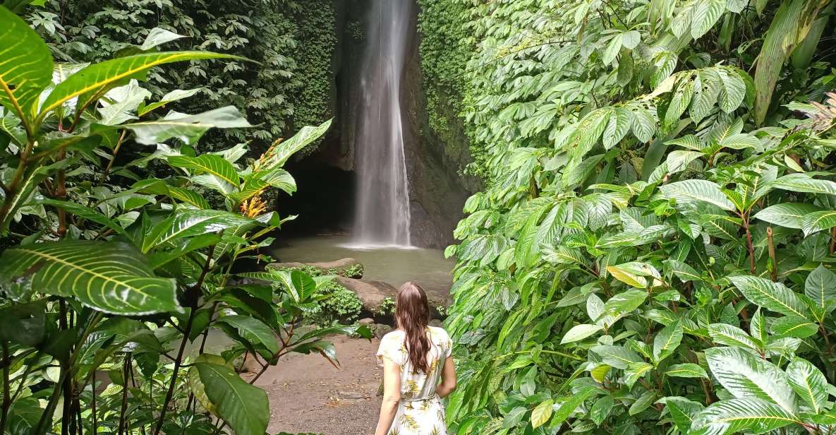 Bali Waterfalls Quest, Discover 4 Waterfalls in 1 Day - Itinerary and Highlights Overview