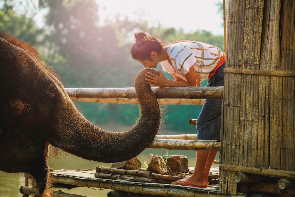 Bangkok: Elephant Sanctuary Visit & SUP on the River Kwai - Full Itinerary