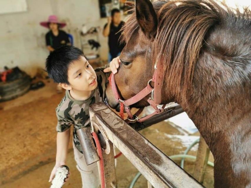 Bangkok: Khao Yai National Park With Horseback Ride Day Trip - Full Description of the Tour