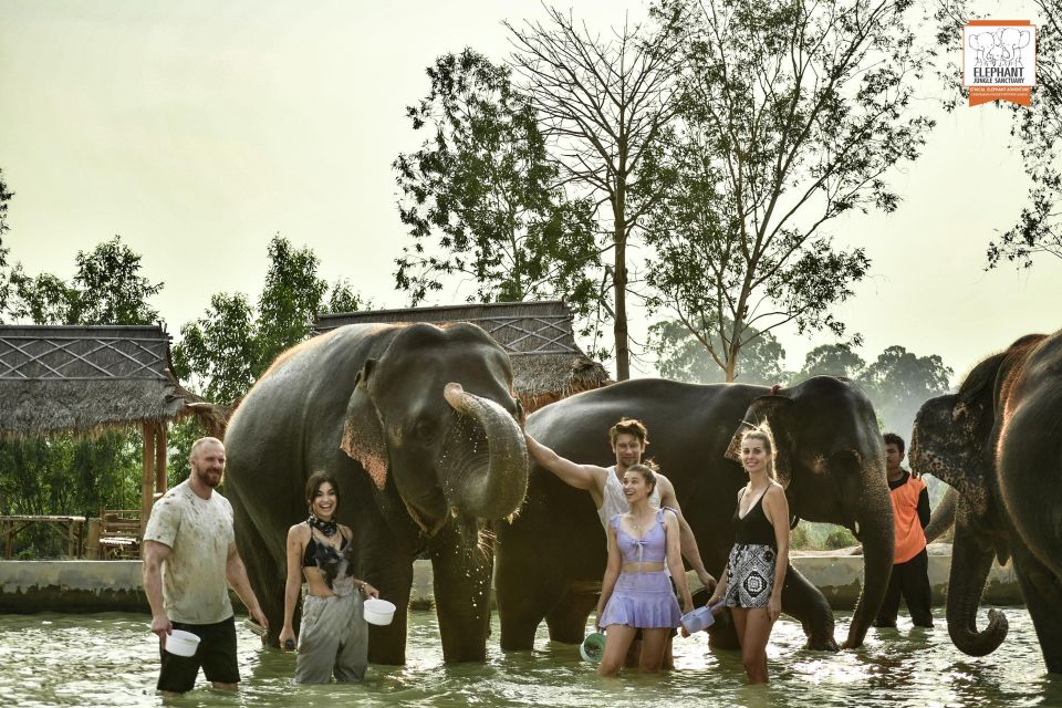 Bangkok: Pattaya Elephant Jungle Sanctuary Half-Day Tour - Full Description