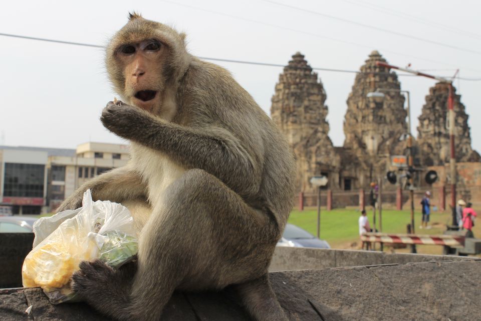 Bangkok: Private Car Hire to Lopburi the Monkey City - Review Summary