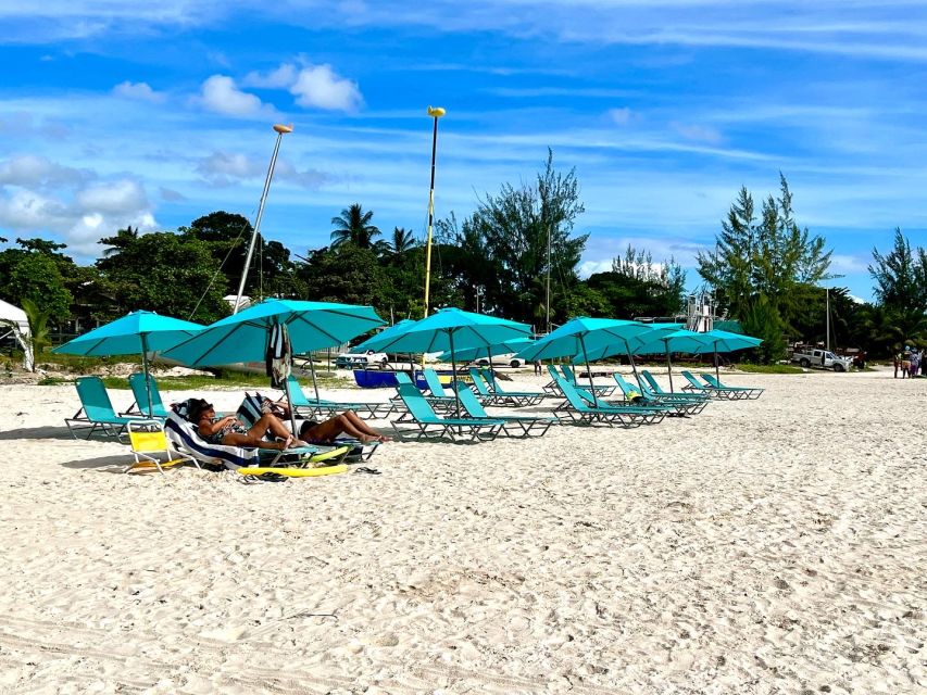 Barbados Beach Day & Turtle Swim Experience - Review Summary