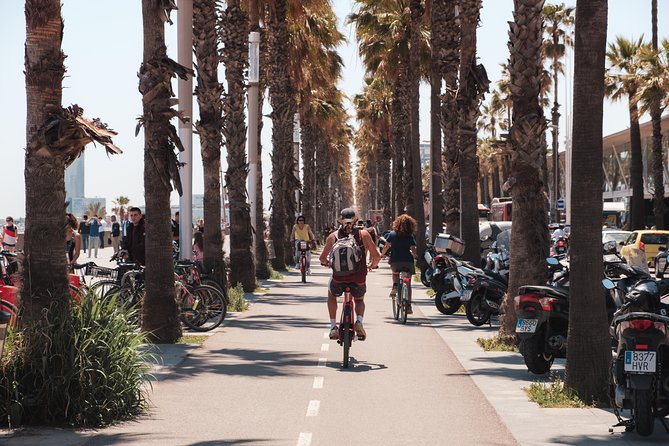 Barcelona City Bike Tour: Highlights and Hidden Gems - Bike Tour Meeting Point