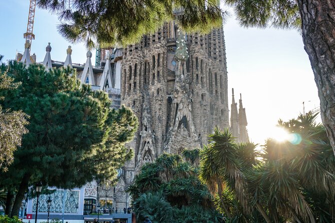 Barcelona Half-Day Small-Group "Best Of" Tour (Mar ) - Tour Experiences