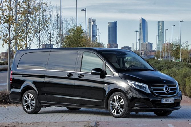 Barcelona Highlights Chauffeured Private Tour - Tour Guides
