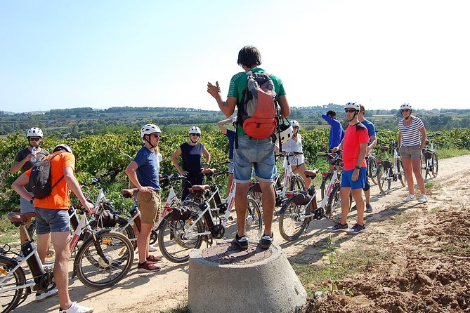 Barcelona: Wine E-Bike Half Daytour in Penedès - Eco-friendly Bike Tour Perspective