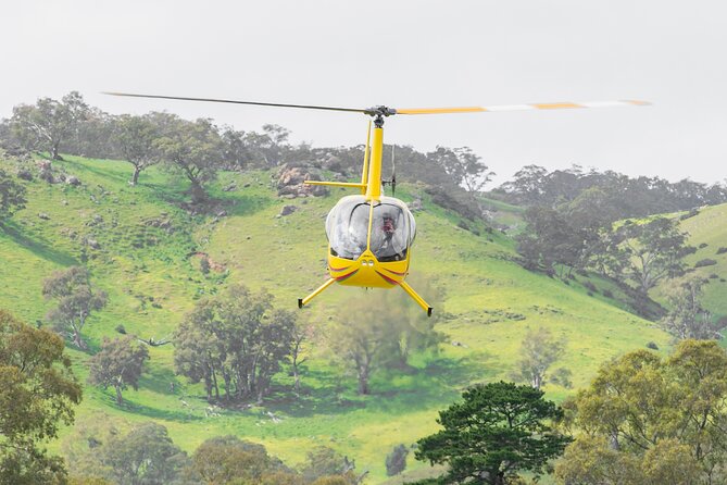 Barossa Valley Deluxe: 30-Minute Helicopter Flight - Unforgettable Helicopter Adventure