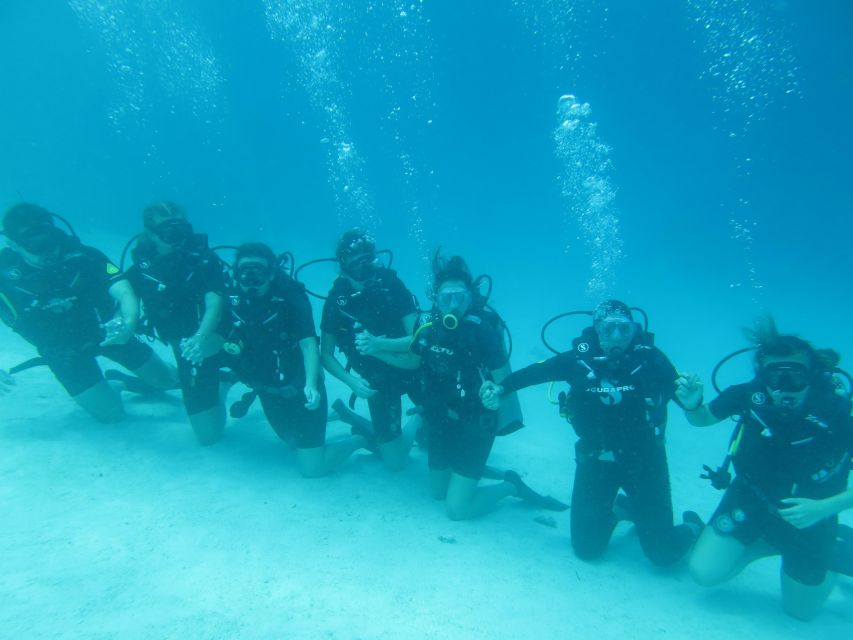 Basic Fun Dive At Menjangan Island - Certified Instructor