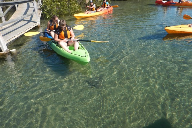 Batemans Bay Glass-Bottom Kayak Tour Over 2 Relaxing Hours - Common questions