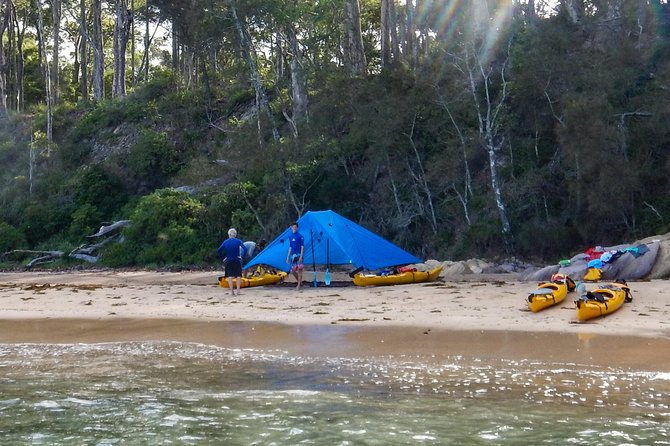 Batemans Bay Overnight Kayak Camping Tour - All Inclusive - Wildlife Encounters