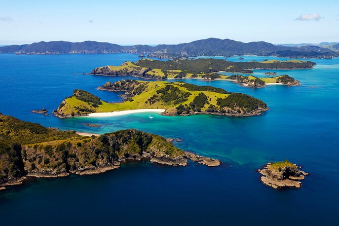 Bay of Islands Cruise & Island Tour - Snorkel, Hike,Swim,Wildlife - Traveler Experiences