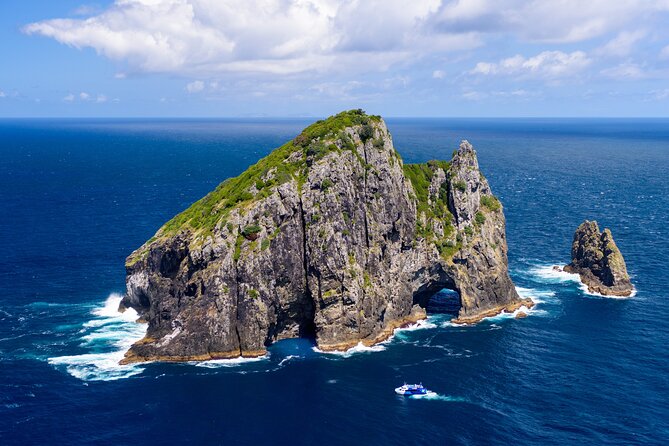 Bay of Islands Discovery Experience From Auckland Incl. Hole in the Rock Cruise - Experience Details