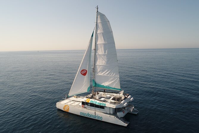 Bay of Malaga Catamaran Sailing - Traveler Engagement and Reviews