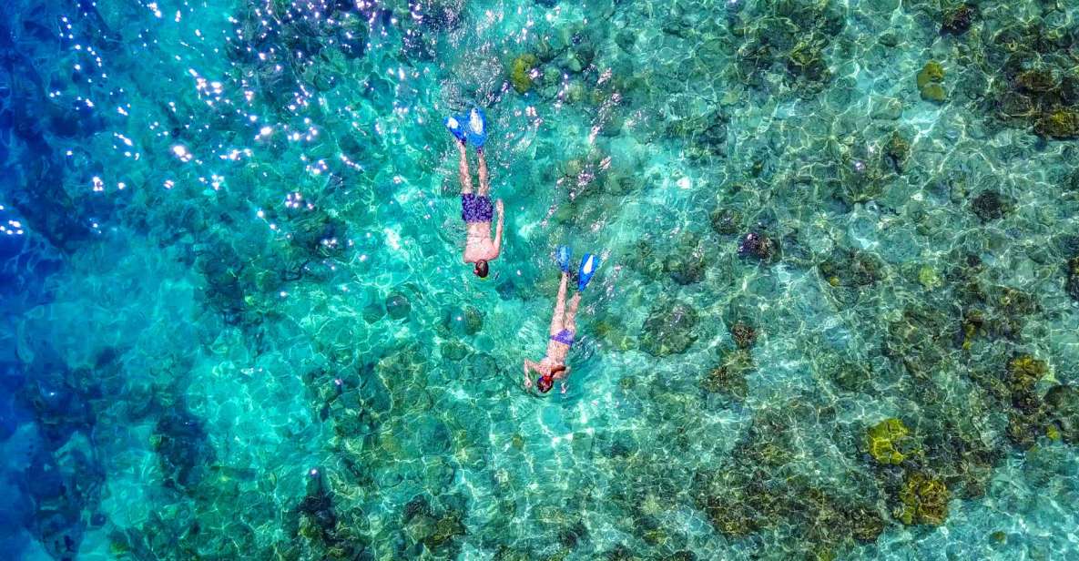 Bayahibe: Snorkeling Tour - Sea, Cotubanama Park & Cenotes - Experience Highlights