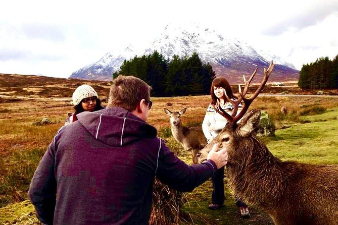 Be Enchanted by the Breathtaking Scenery of the Scottish Highlands - Unforgettable Memories