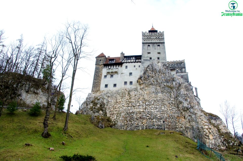 Bear Sanctuary & Bran Castle & Airport OTP From Brasov - Services Offered During the Tour