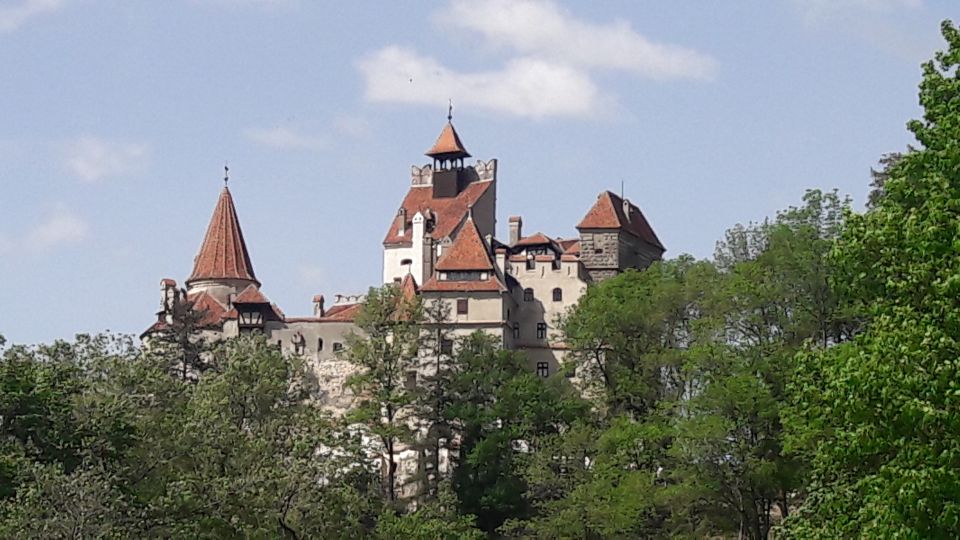 Bear Sanctuary-Bran Castle-Rasnov Fortress From Brasov - Highlights