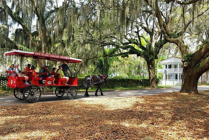 Beaufort's #1 Horse & Carriage History Tour - Reviews and Testimonials