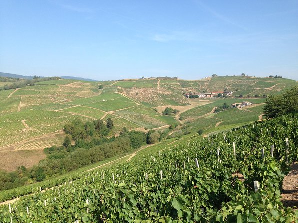 Beaujolais Crus Wines & Castles (9:00 Am - 1:30 Pm) - Small Group Tour From Lyon - Meeting Point