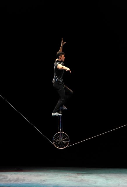 Beijing: Night Tour of Acrobatics Show Including Transfer - Booking Information