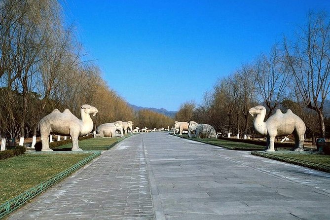 Beijing Private Day Tour to Mutianyu Great Wall and Ming Tombs - Meeting and Pickup