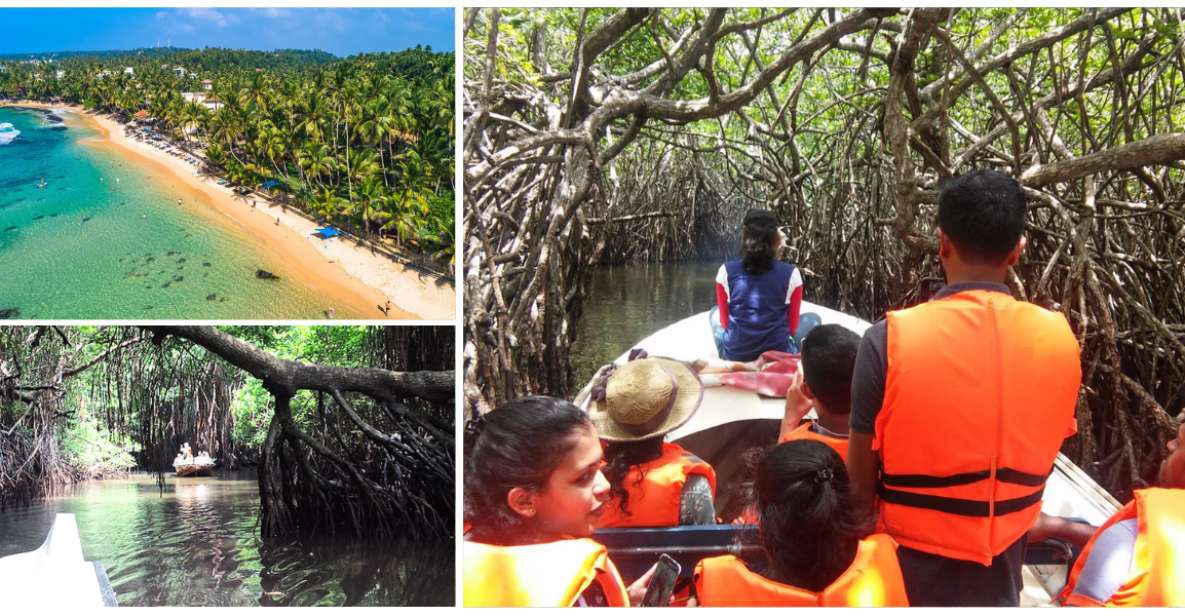 Bentota Beach, River Mangroves Lagoon, Wildlife Tour - Location and Activity Details