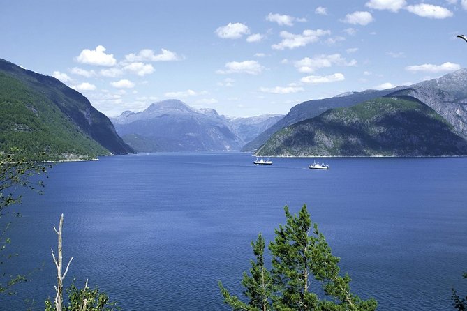 Bergen: Private Full-Day Roundtrip to Hardangerfjord With Cruise - Pricing Options and Group Size