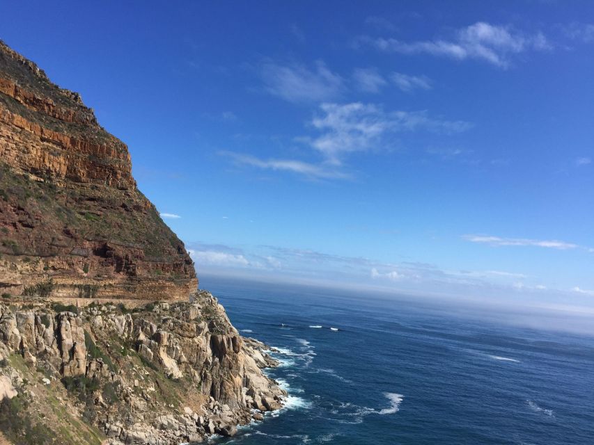 Best of Cape Town in a Day (Cape Point, Penguins and More) - Cape of Good Hope Exploration