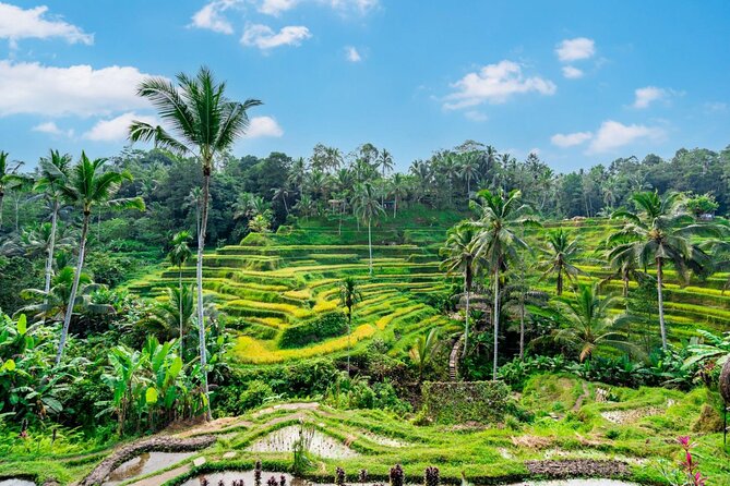 Best of Ubud Full-Day Tour With Entry Tickets - Optional Stop