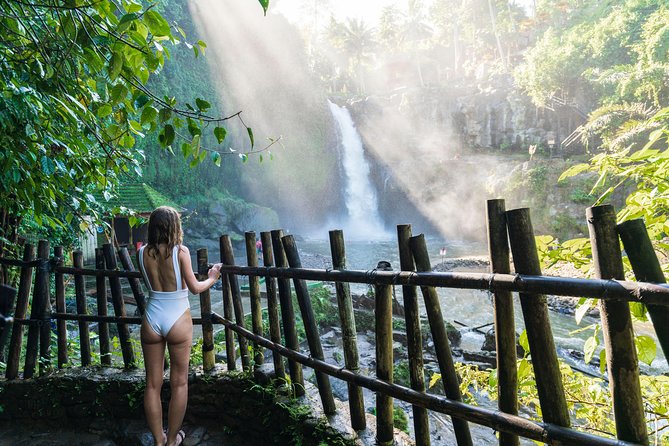 Best of Ubud Full-Day Tour With Jungle Swing - Highlights of the Tour