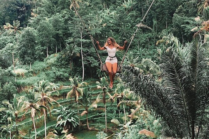 Best of Ubud Private Tour With Jungle Swing Experience - Customer Reviews and Ratings