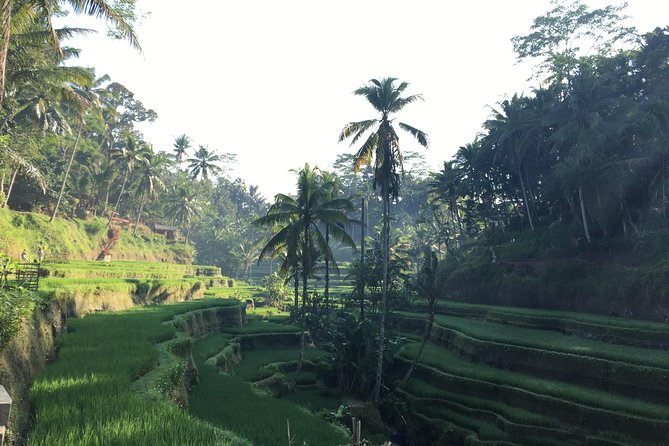 Best of Ubud Waterfalls, Tegalalang Rice Terrace and Swing Tour - Photo Gallery