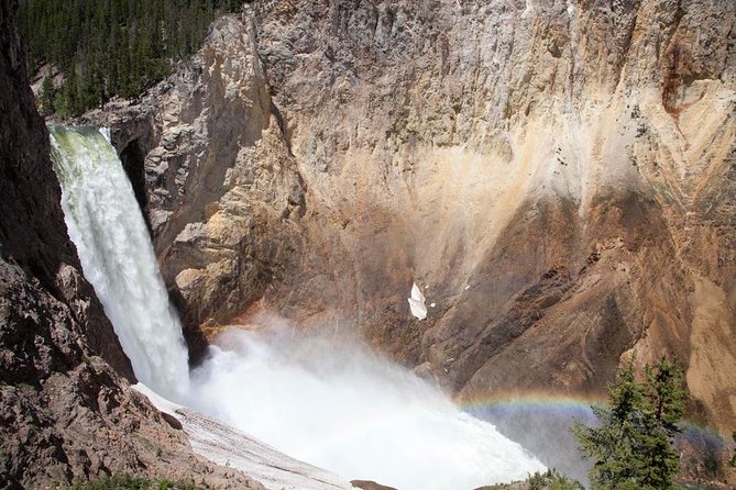 Best of Yellowstone - Guided National Park Safari Tour - Reviews Summary