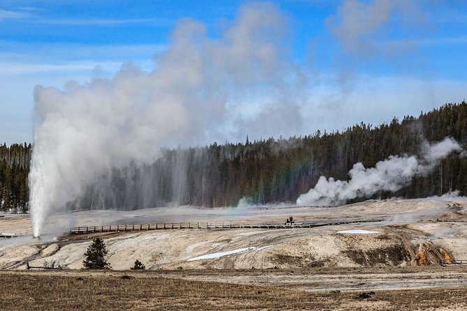 Best of Yellowstone Private National Park Safari Tour - Custom Itinerary Options