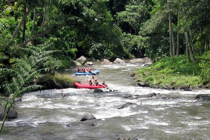 Best White Water Rafting With Lunch and Private Transfer in Bali - Explore Balis Natural Beauty