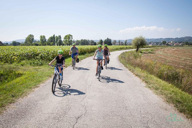 Bevagna E-Bike & Wine Tour - Reviews and Feedback