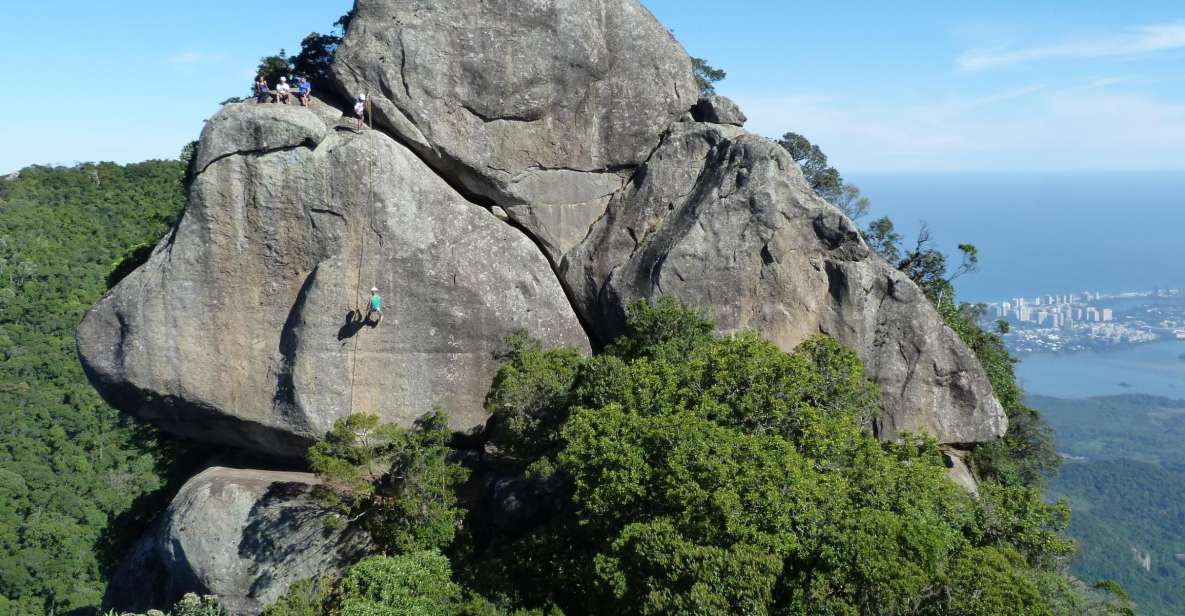 Bico Do Papagaio Guided Hiking Tour in the Tijuca Forest - Location & Activities