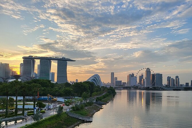 Big Bus Singapore Night Tour With Gardens by the Bay Light Show - Ticket Options