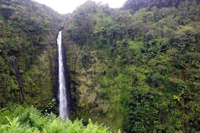 BIG Island BIG Volcano Adventure From Kona: Small Group - Additional Information and Safety