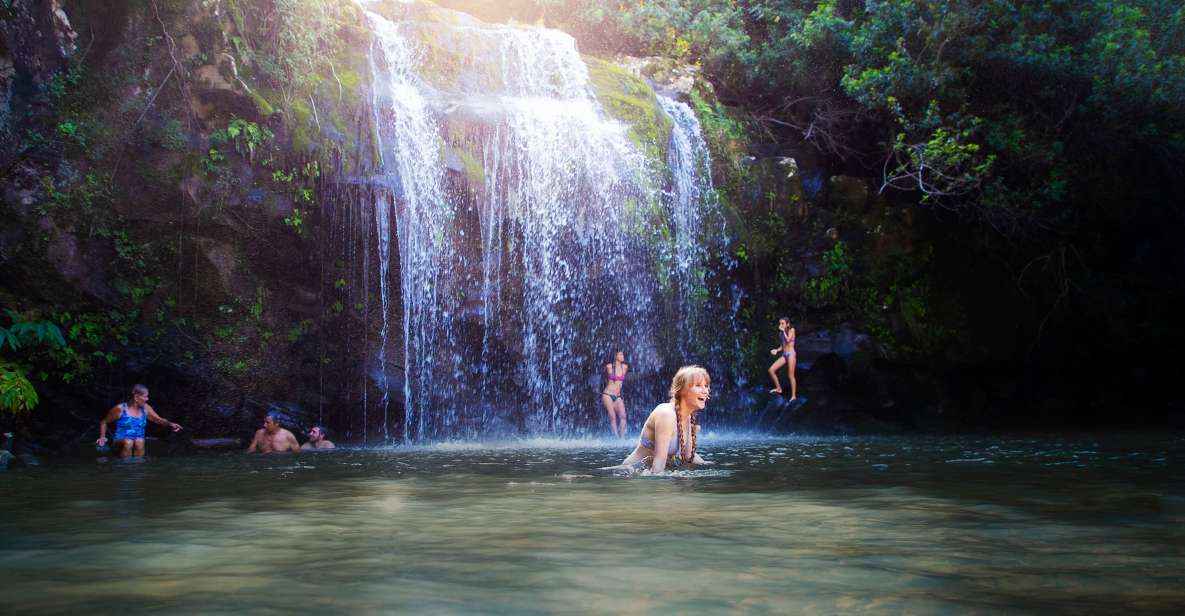 Big Island: Full Day Adventure Tour of the Kohala Waterfalls - Experience Highlights