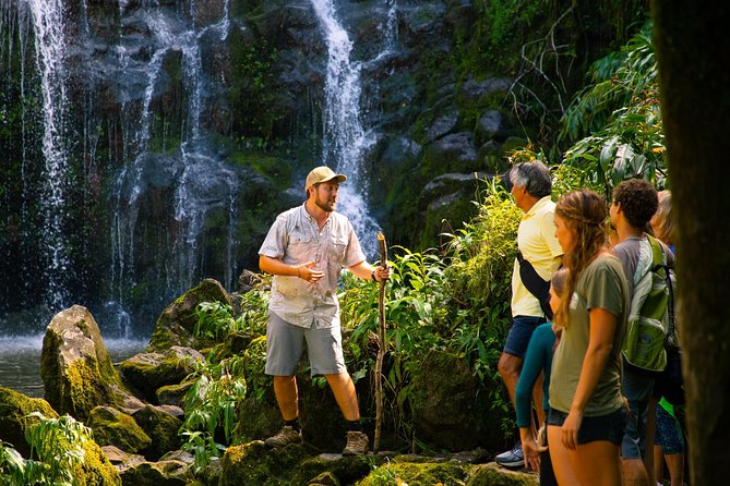 Big Island Kohala Zip and Dip Tour From Kona - Tour Highlights