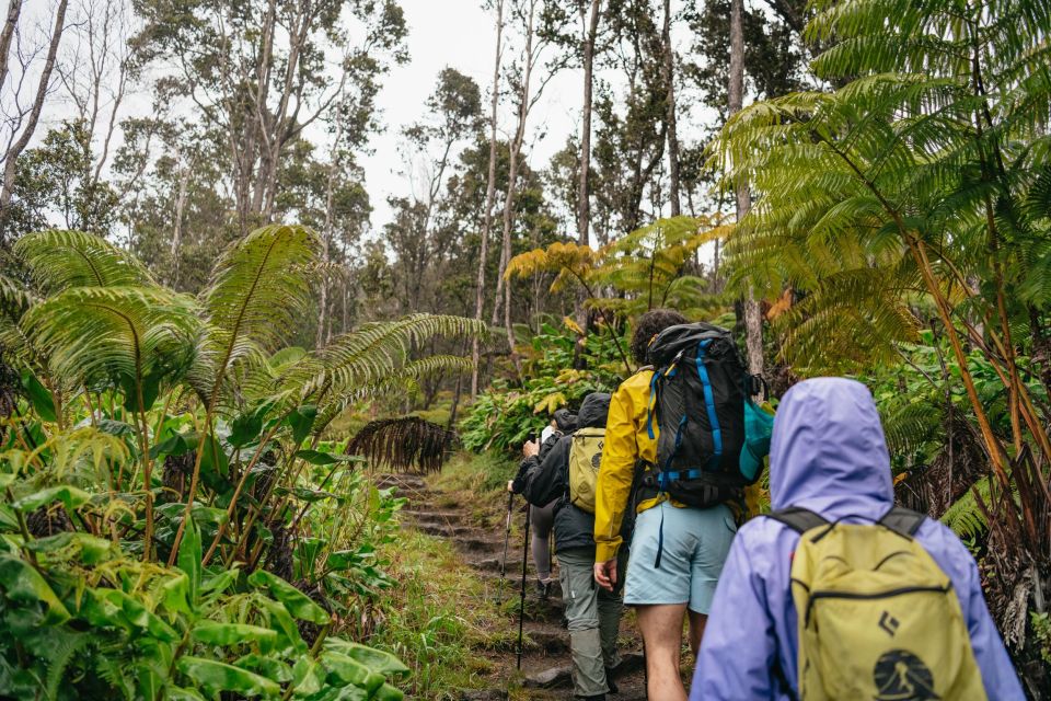 Big Island: Nature's Haven: Volcano Hike in National Park! - Review Information
