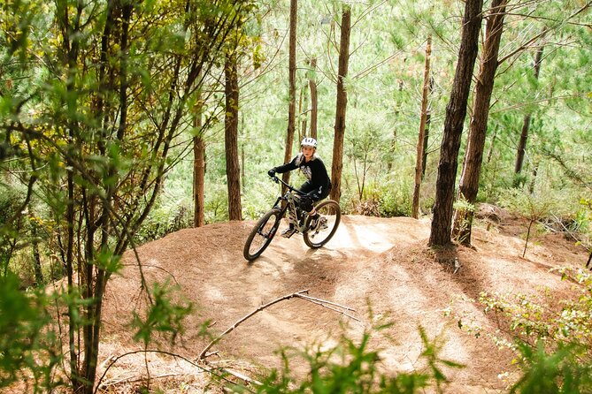 Bike Hire at the Waitangi Mountain Bike Park - Additional Details