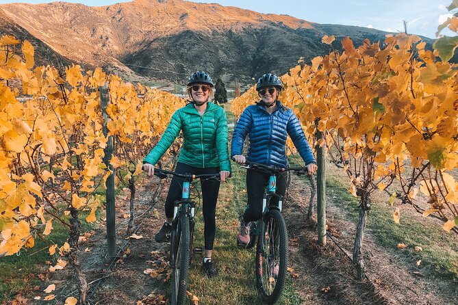 Bike The Wineries Full Day Ride Queenstown - Tour Overview Highlights