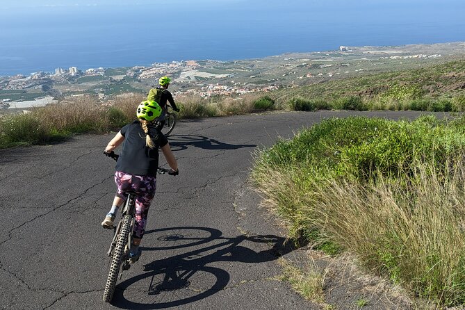 Biking Adventure From Teide to Sea With Wine and Cheese Tasting - Scenery and Experience Level