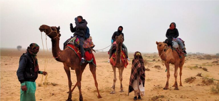 Billion of Stars Experience With Non Touristic Camel Safari