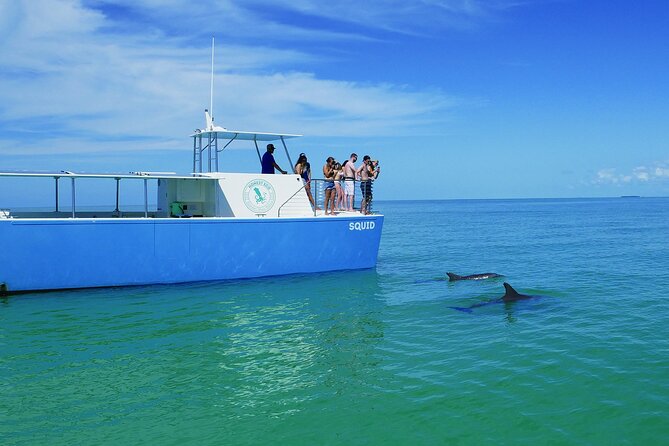 Biologist-Guided Adventure: Dolphin Watching and Key West Reefs - Meet the Educated Crew